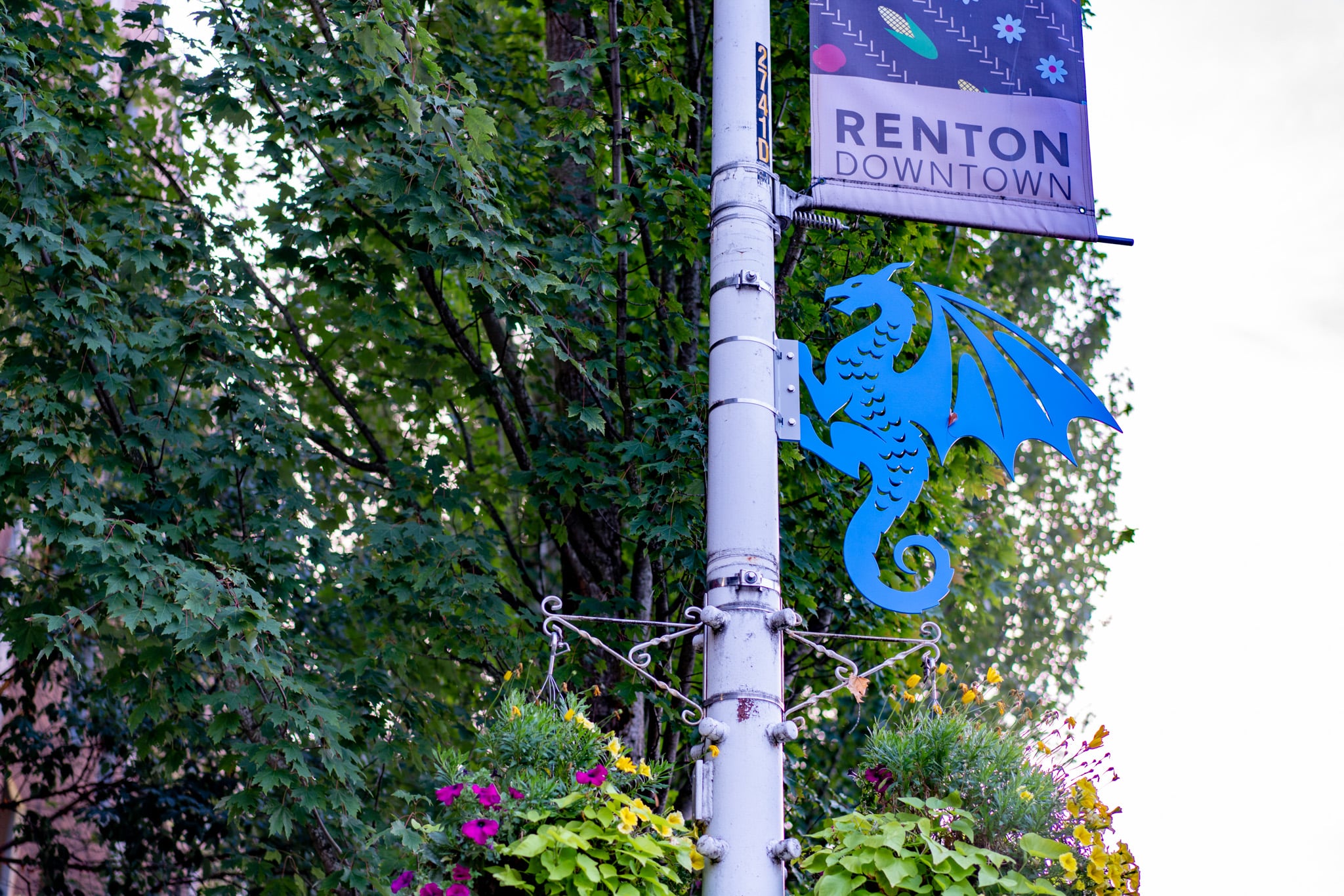 Blue metal dragon sculpture on a light pole in downtown Renton