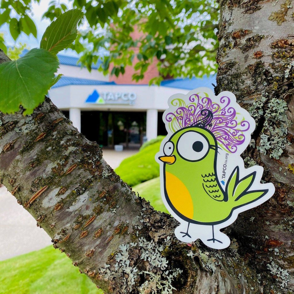 TAPCO sticker design of a green bird placed in a tree