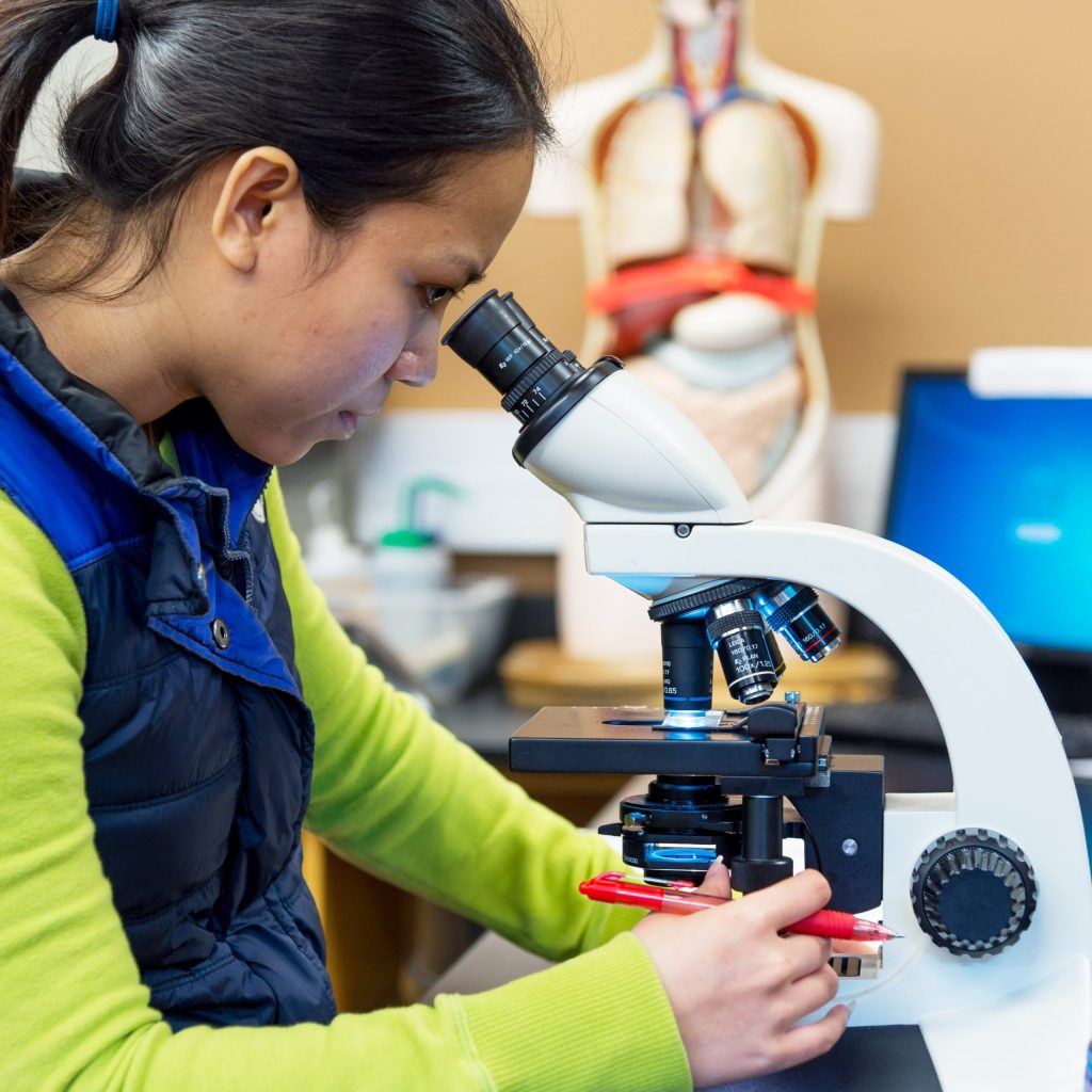 photo of Tacoma Community College student looking through microscope in class lab