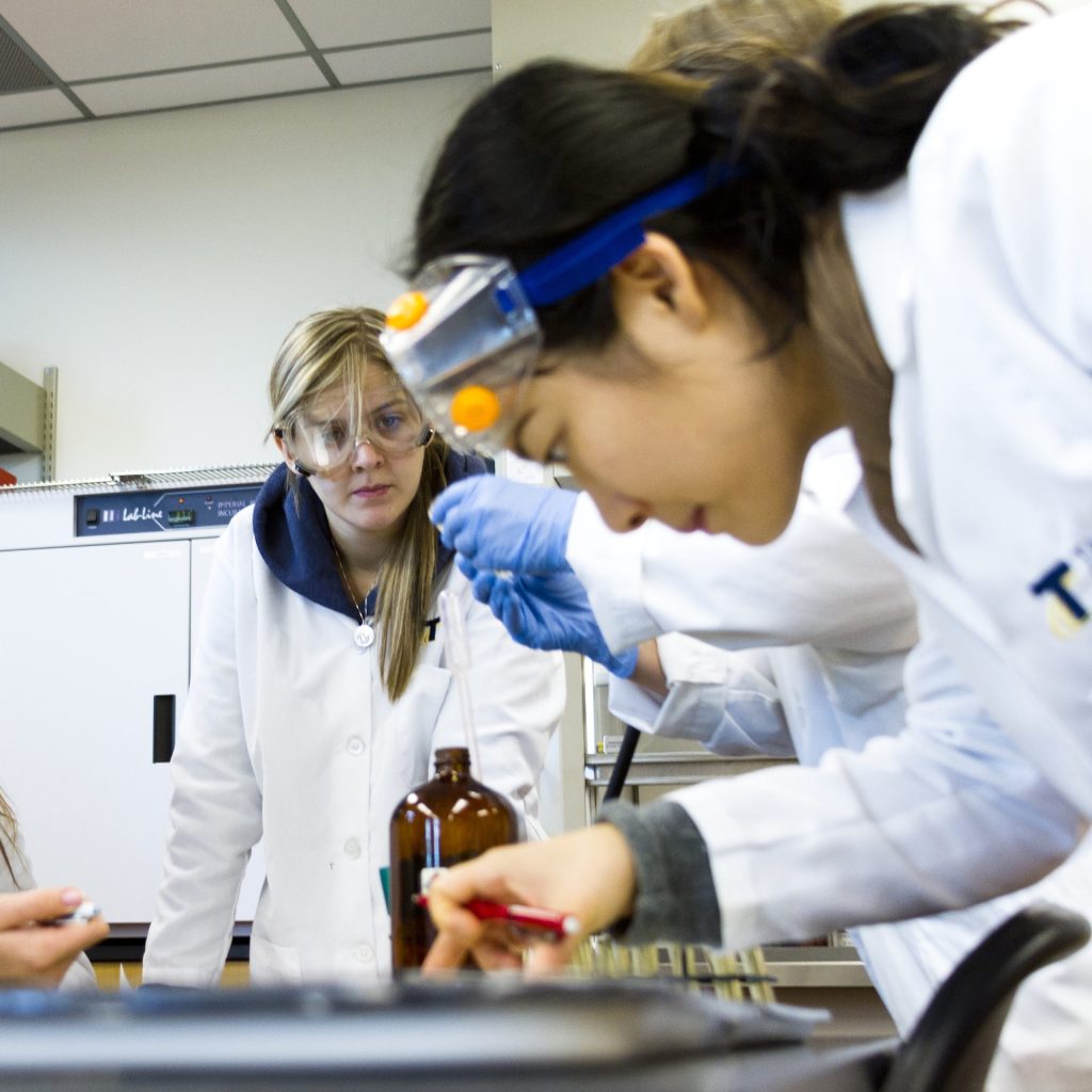 photo of Tacoma Community College students in a lab