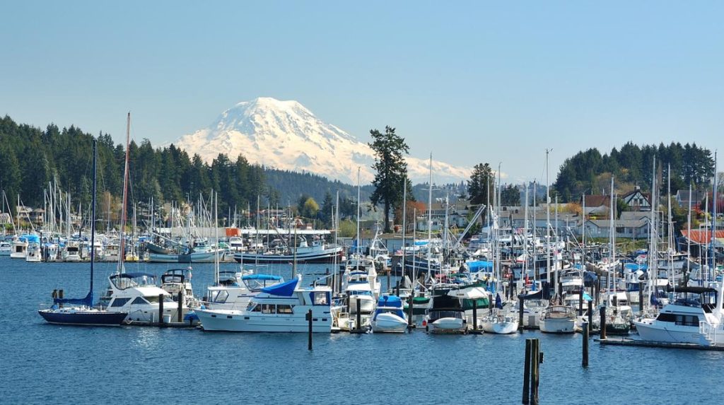Gig Harbor marina boats with Mount Rainier behind