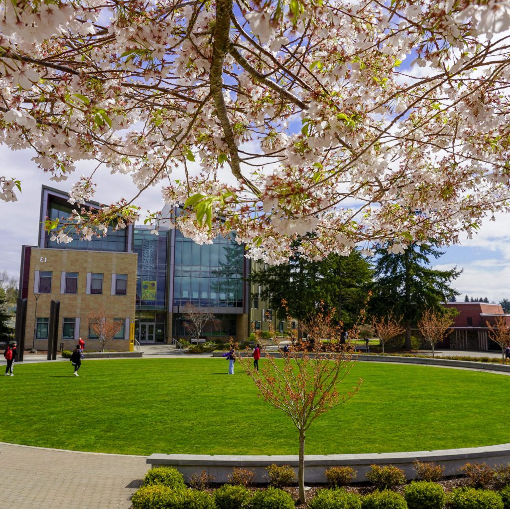 Photo of Tacoma Community College campus with flowering trees in the forefront