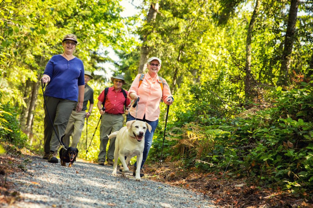 Photo of 4 people walking on a trail with their dog