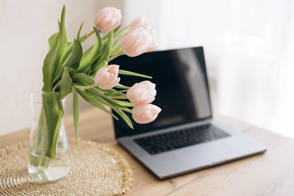 New Website Projects Debut This Spring