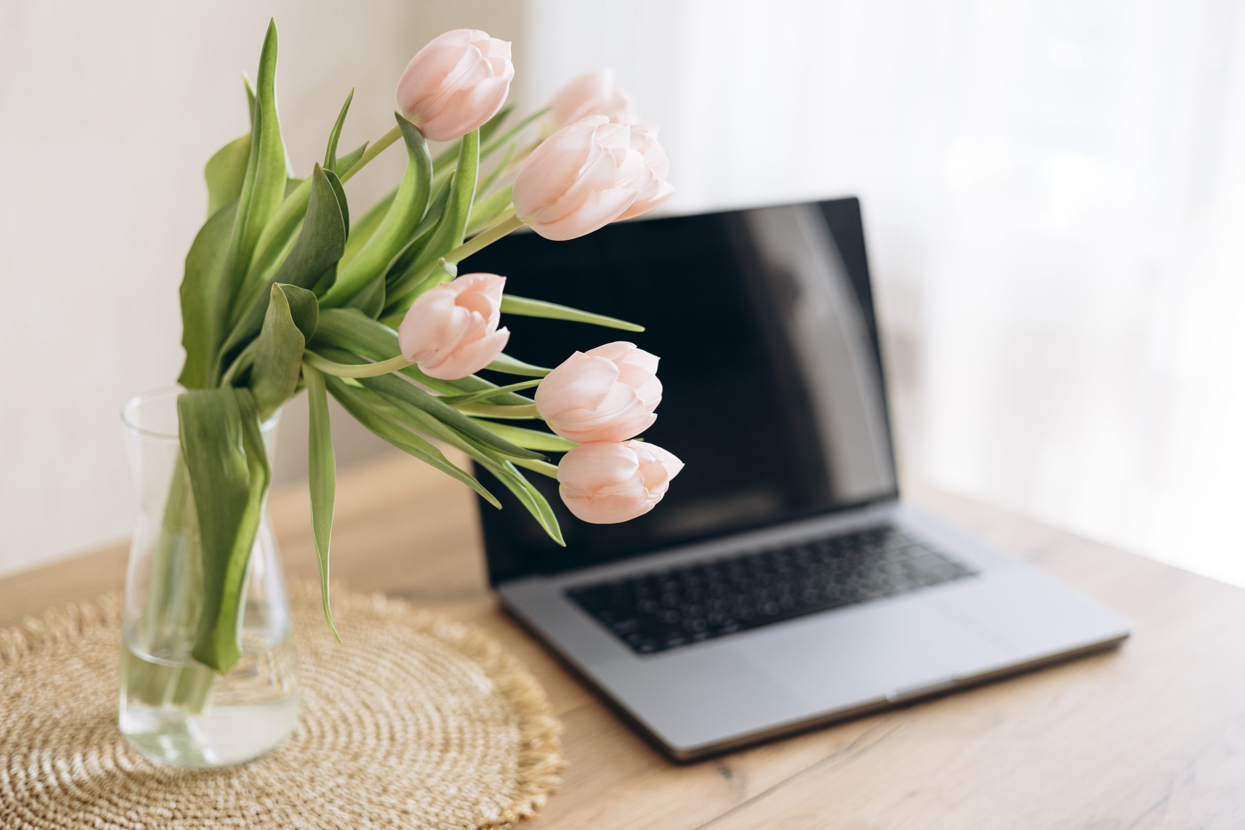 New Website Projects Debut This Spring