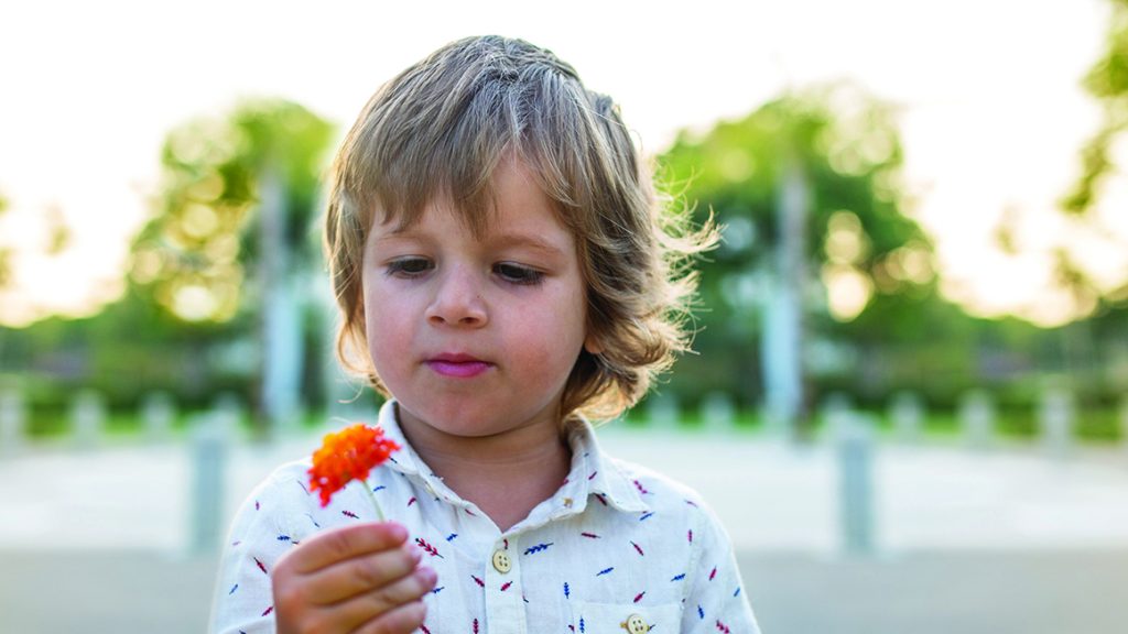 Cute boy giving a flower to his friend in the park.
