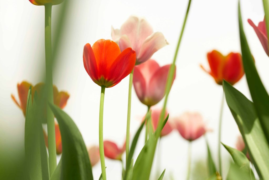 Give Your Brand a Breath of Fresh Air