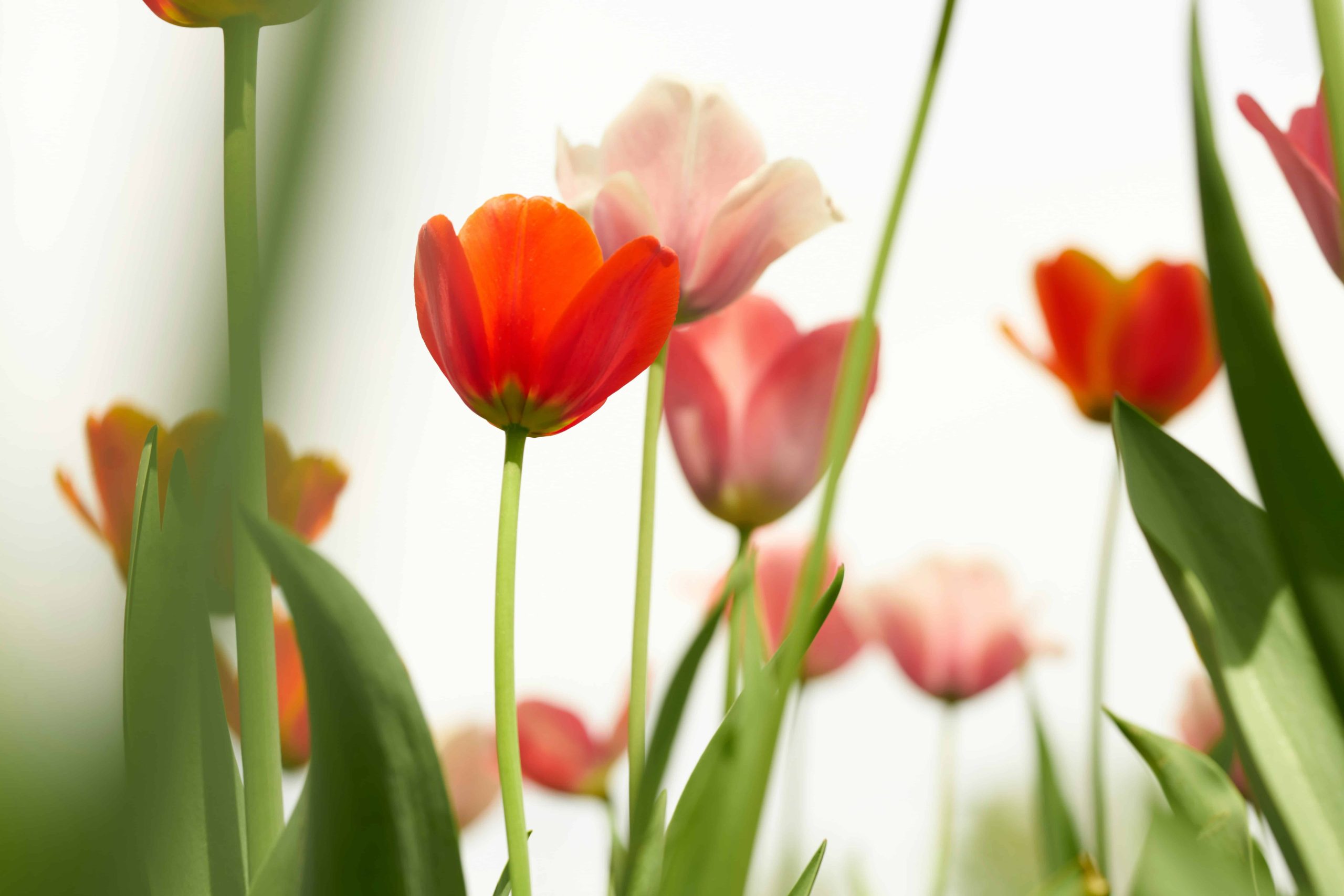 Give Your Brand a Breath of Fresh Air